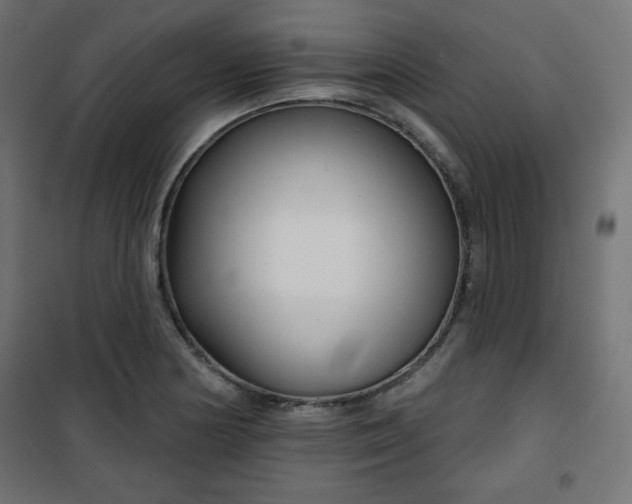 X0000101141178200807071119