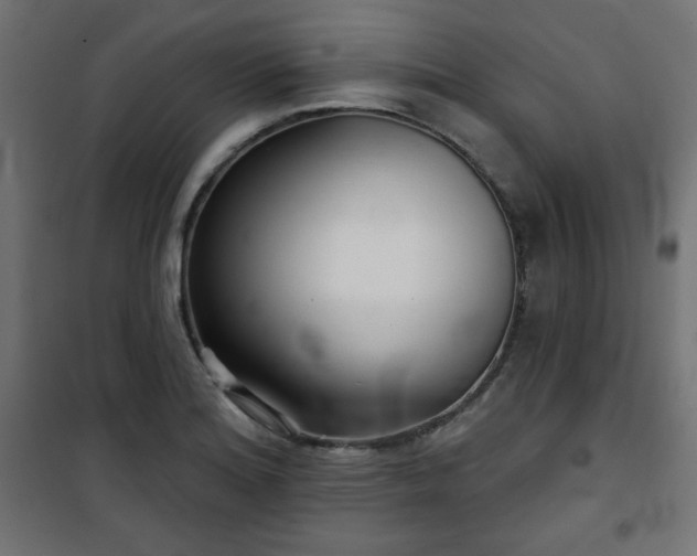 X0000101141180200807071119