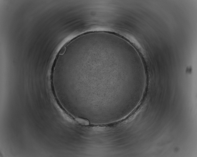 X0000101141181200807071119