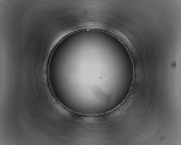 X0000101141182200807071119