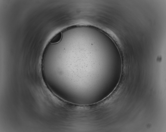 X0000101141183200807071119