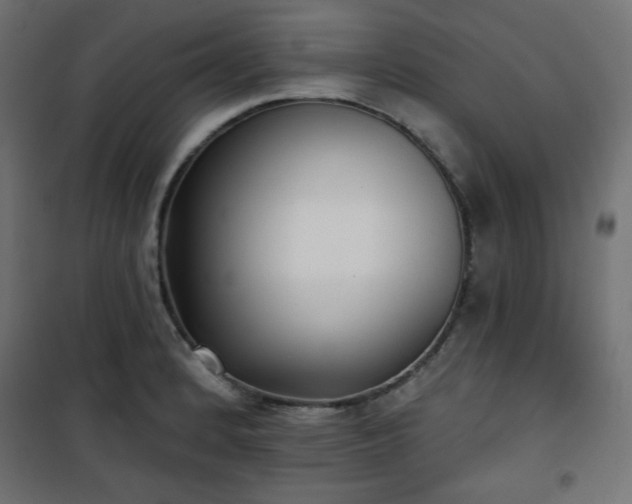 X0000101141184200807071119