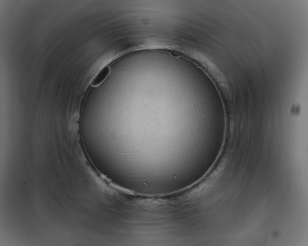 X0000101141185200807071119