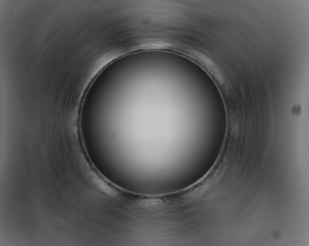 X0000101141186200807071119