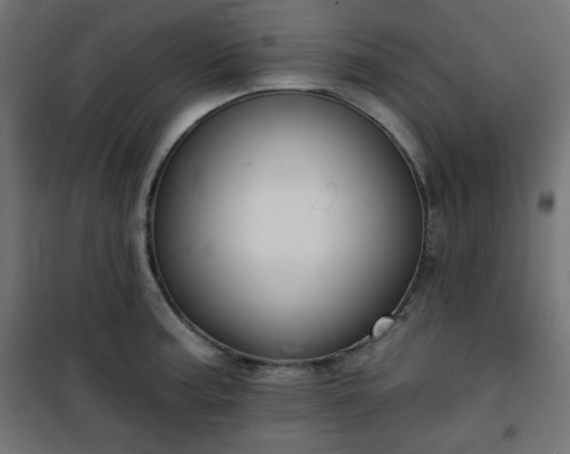 X0000101141187200807071119