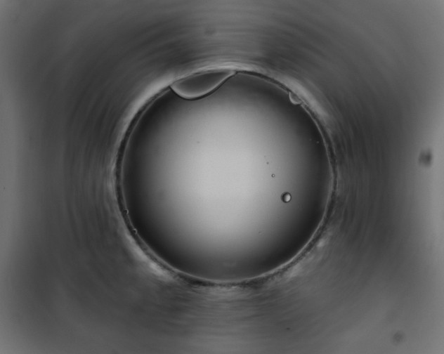 X0000101141189200807071119