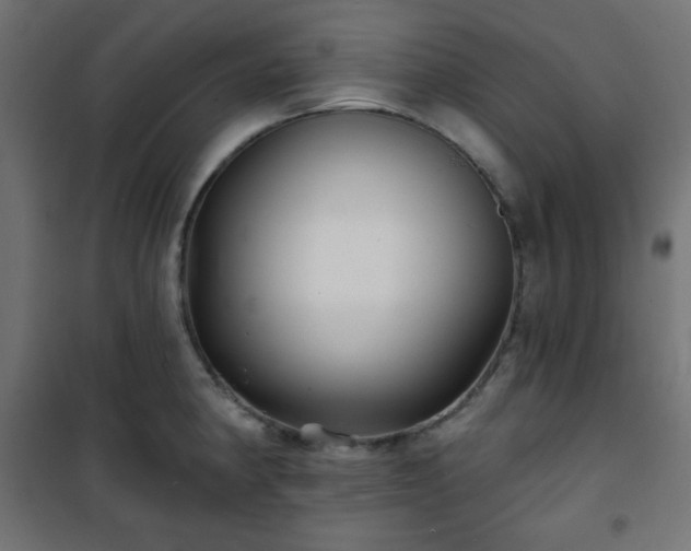 X0000101141190200807071119