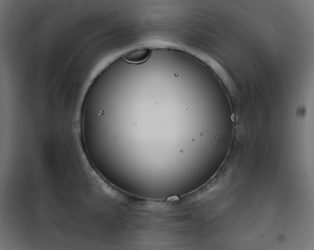 X0000101141191200807071119