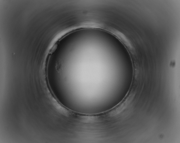 X0000101141192200807071119