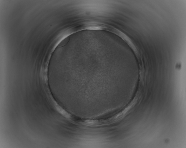 X0000101141194200807071119