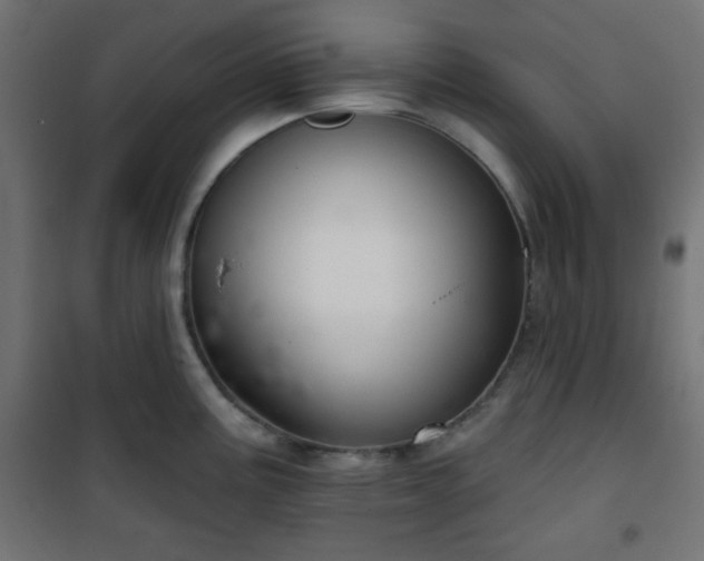 X0000101141195200807071119