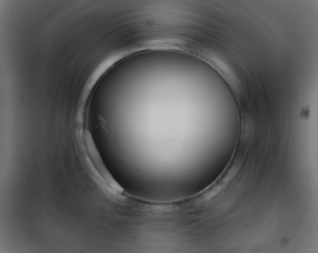 X0000101141196200807071119