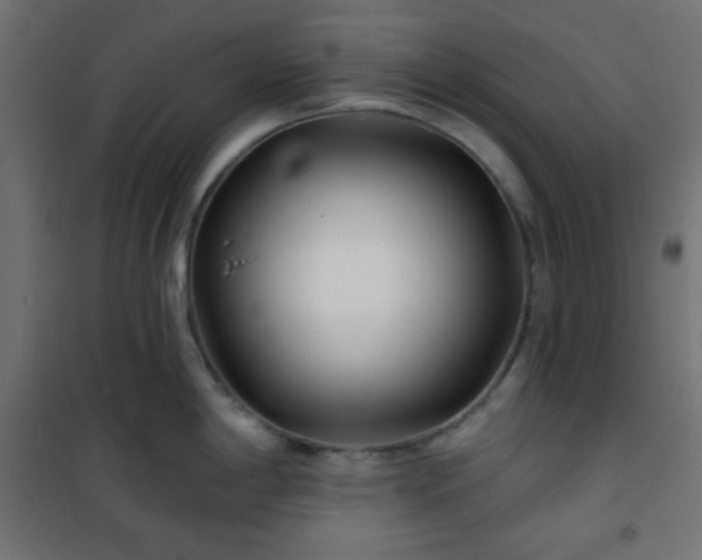 X0000101141198200807071119