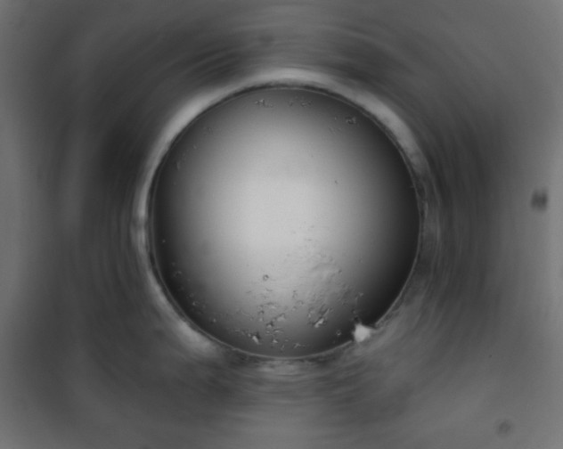 X0000101141199200807071119