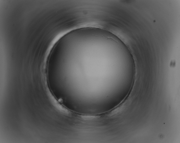 X0000101141200200807071119