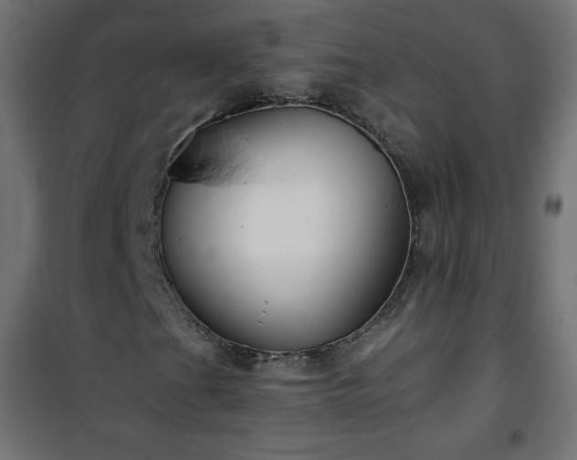 X0000101141201200807071118