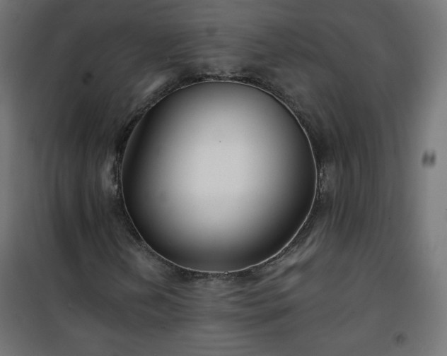 X0000101141202200807071118