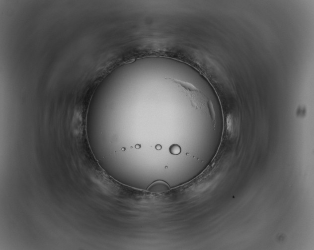 X0000101141203200807071118