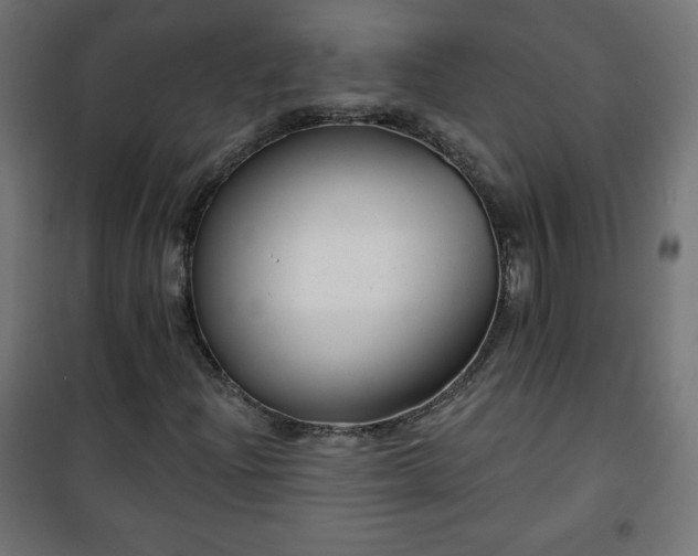 X0000101141204200807071118