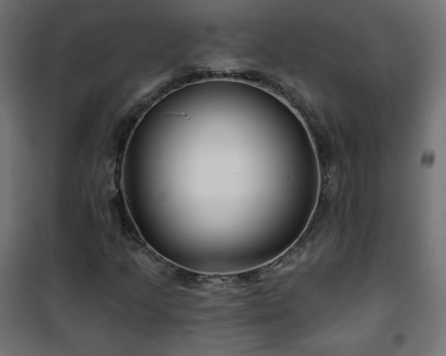 X0000101141205200807071118