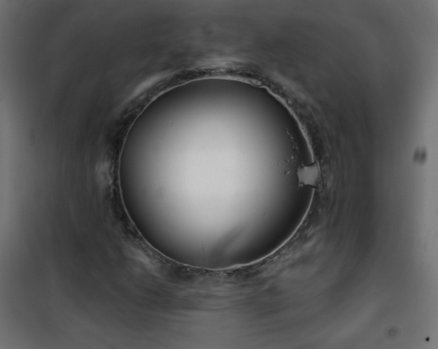 X0000101141206200807071118