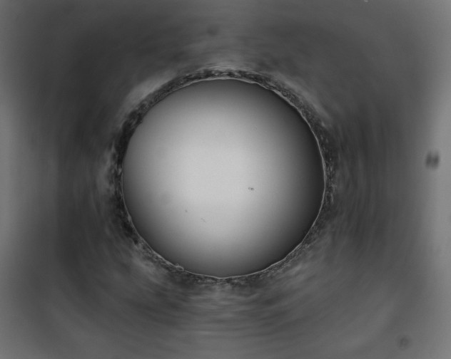 X0000101141207200807071118