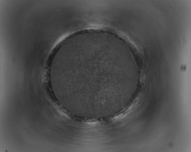 X0000101141208200807071118