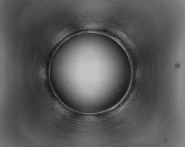 X0000101141209200807071118