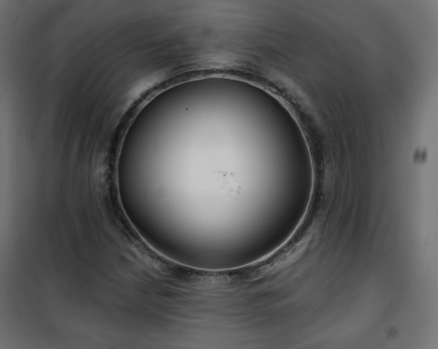 X0000101141210200807071118