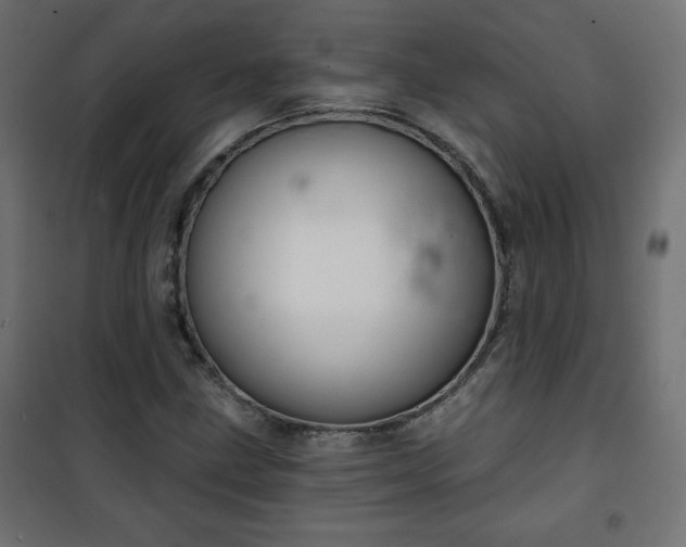 X0000101141211200807071118