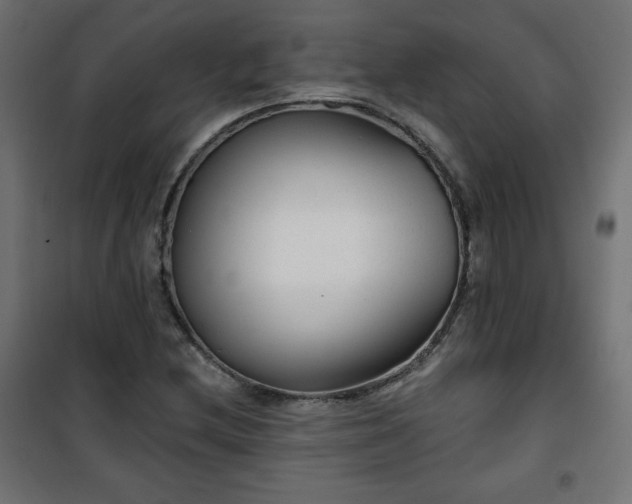 X0000101141212200807071118