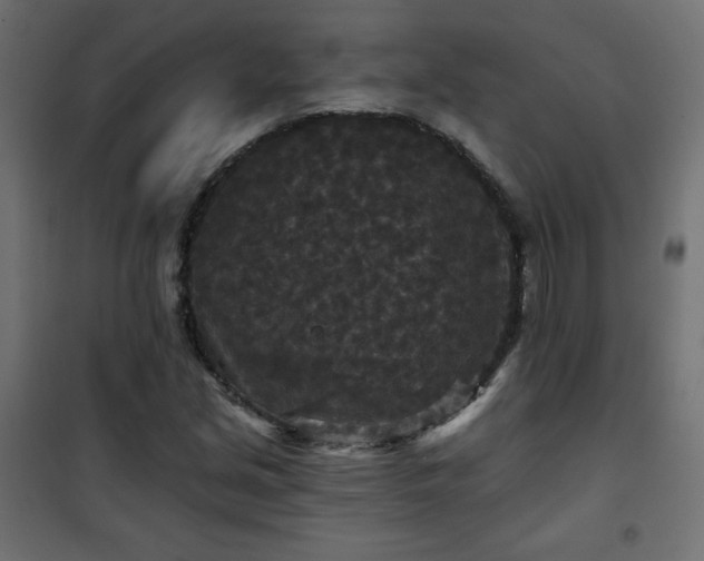 X0000101141213200807071118