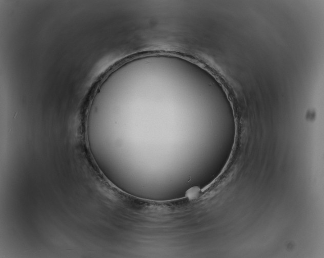 X0000101141215200807071118