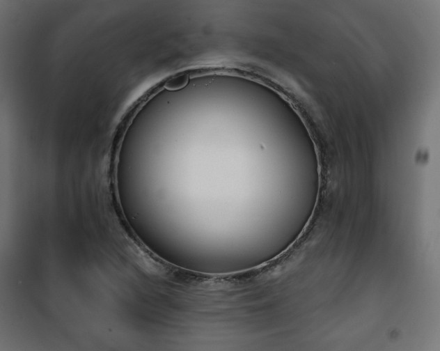 X0000101141216200807071118