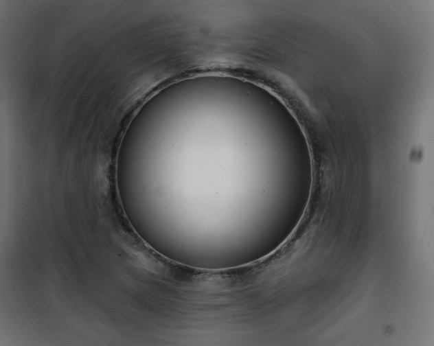 X0000101141217200807071118