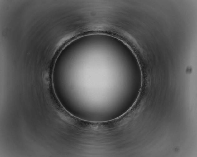 X0000101141218200807071118