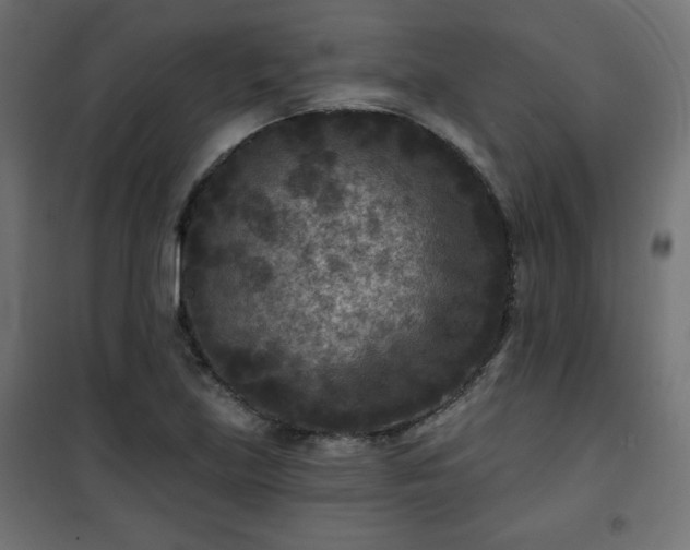 X0000101141219200807071118