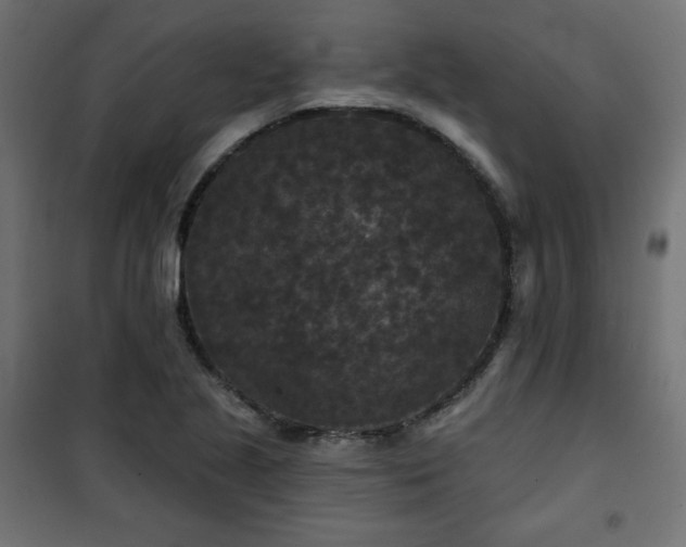 X0000101141221200807071118