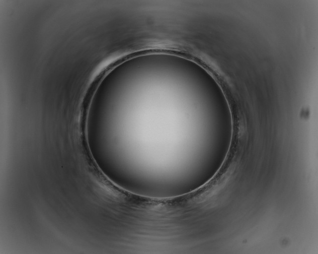 X0000101141222200807071118