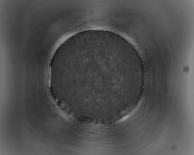 X0000101141223200807071118