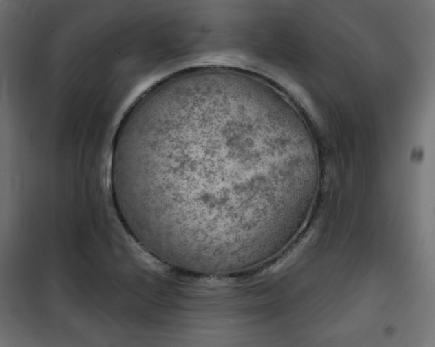 X0000101141224200807071118