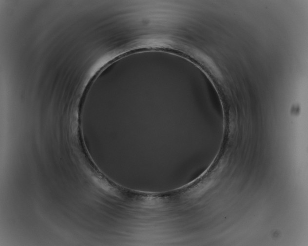 X0000101141226200807071118