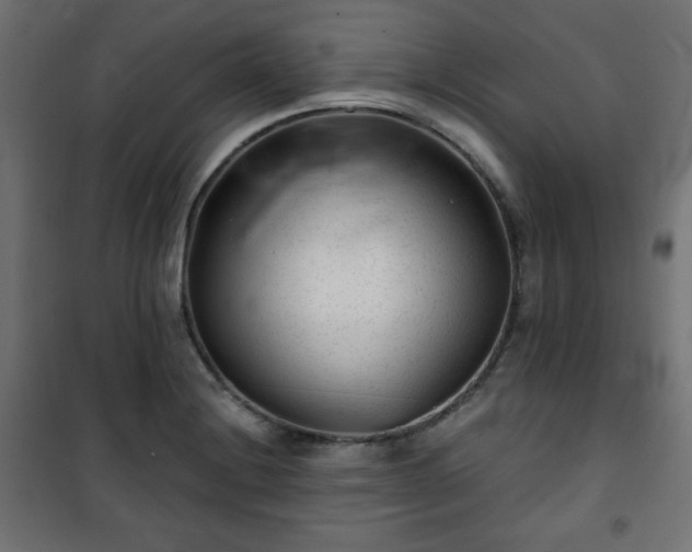 X0000101141228200807071118