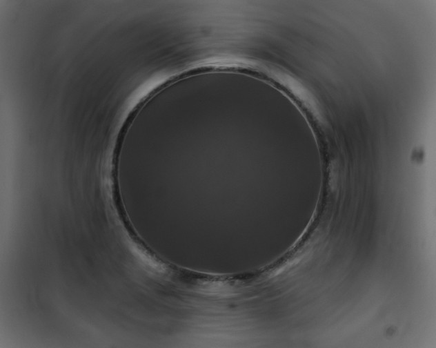 X0000101141229200807071118