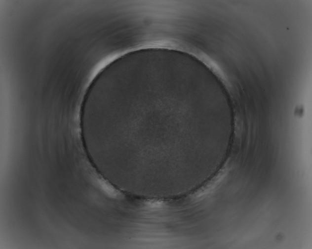 X0000101141230200807071118