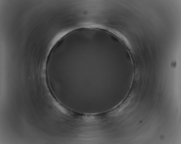 X0000101141231200807071118