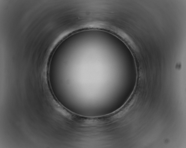 X0000101141232200807071118