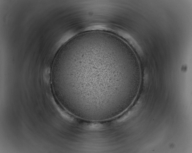 X0000101141233200807071118