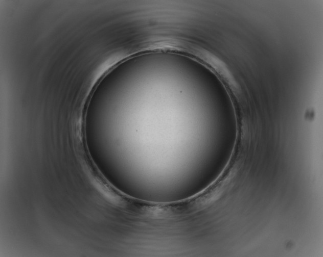 X0000101141234200807071118