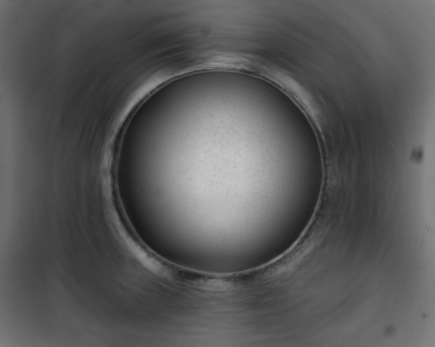 X0000101141235200807071118